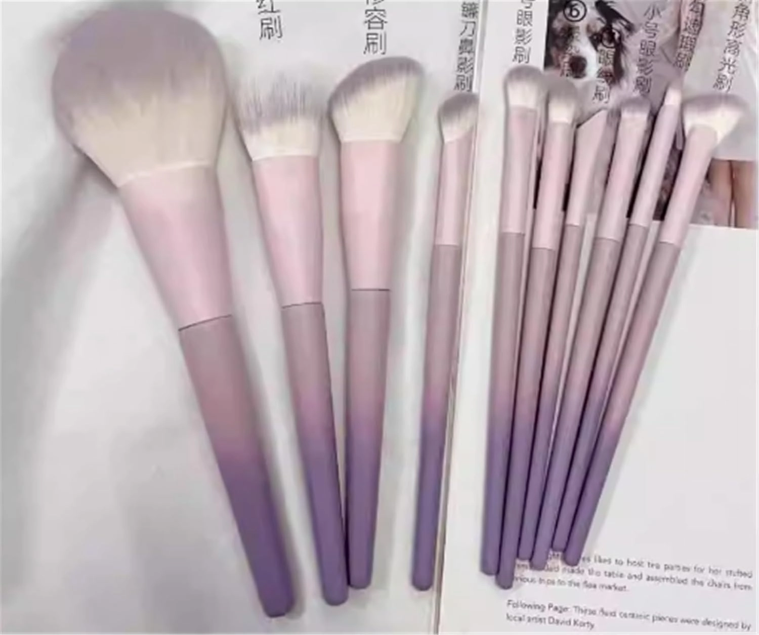 10 Piece Makeup Brush Set Powder Rouge Eye Shadow Brush Full Set Of Beauty Tools