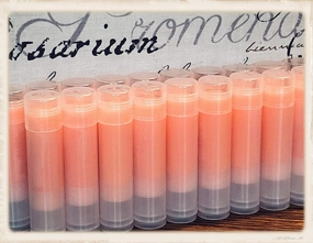 20 PUMPKIN Lip Balms in Clear Tubes Unbranded Bulk Wholesale
