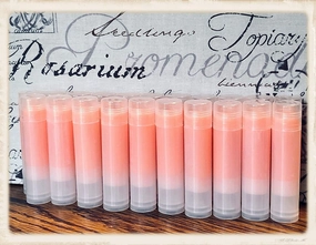20 PUMPKIN SPICE LATTE Lip Balms in Clear Tubes Unbranded Bulk Wholesale