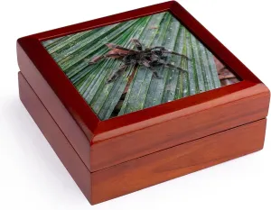 3dRose Amazon jungle, on a trail from the Maranon River, pink toe tarantula., Jewelry Box jb-229272-1