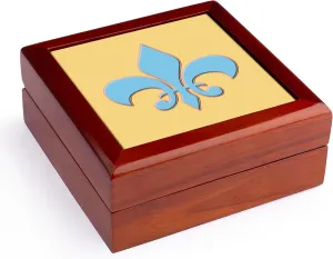 3dRose Baby Blue Fleur-de-lis outlined in contrasting apricot peach back, Jewelry Box jb-165739-1