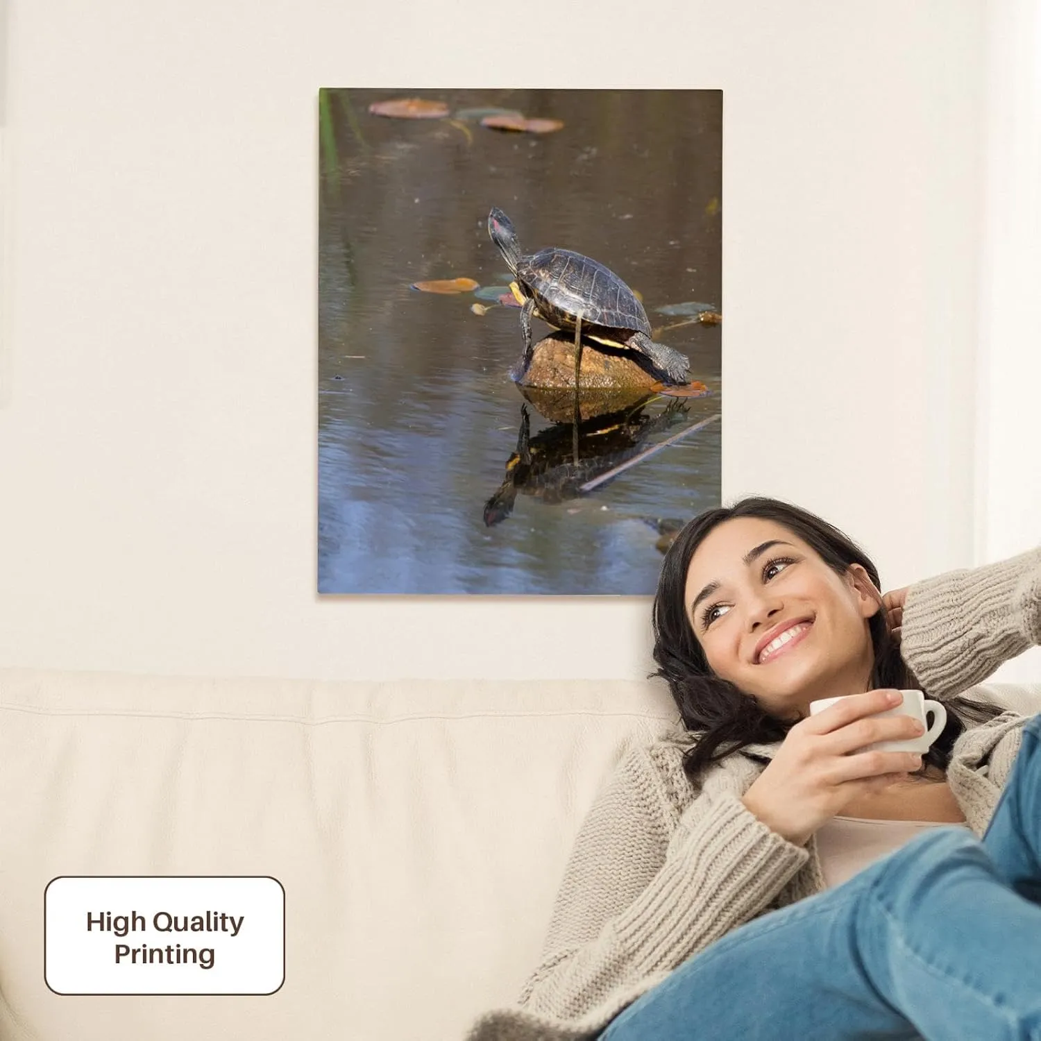 3dRose, Juanita Bay, Pond Slider Turtle, Red-eared - US48 JWI3672 - Jamie and Judy Wild, Museum Grade Canvas Wrap 16x20