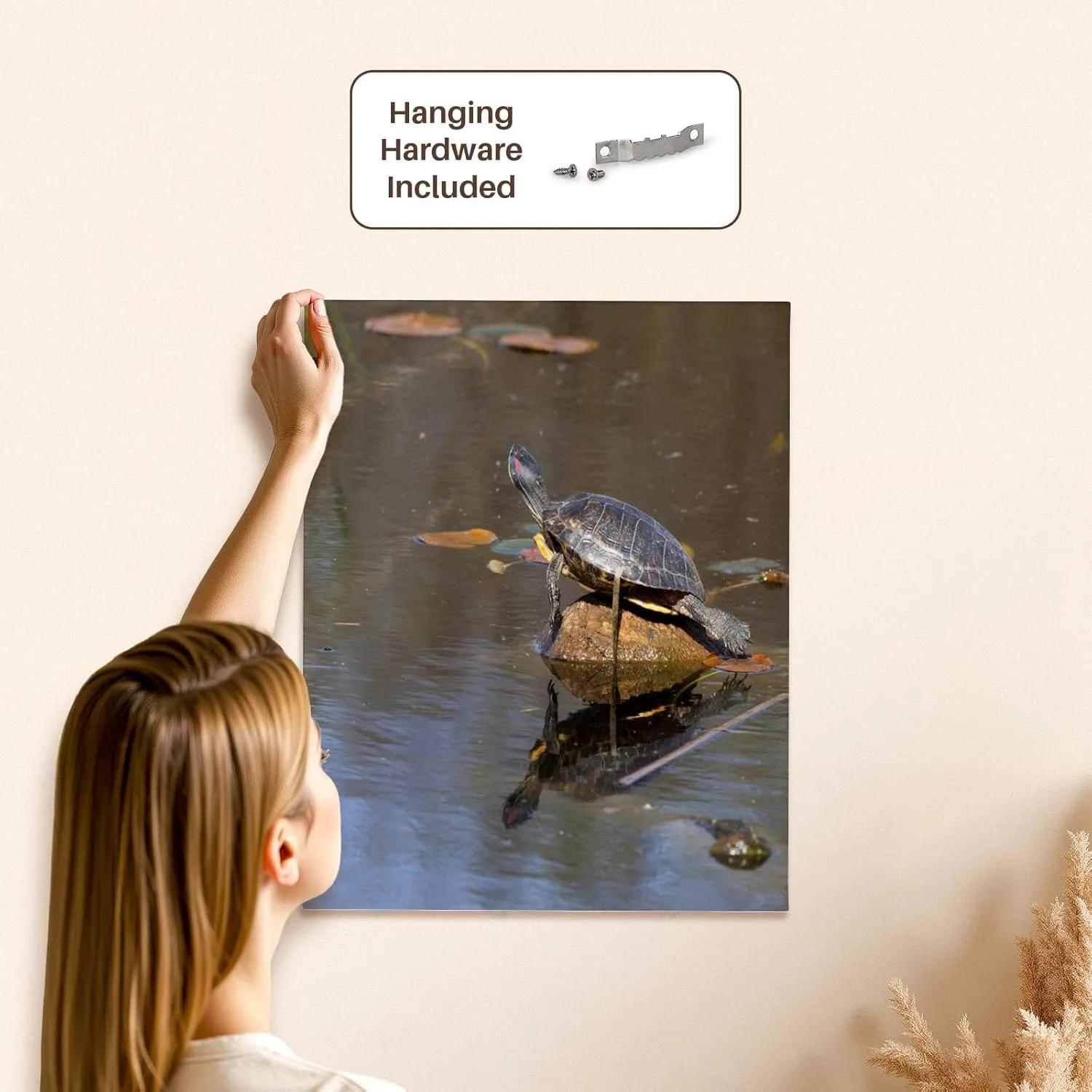 3dRose, Juanita Bay, Pond Slider Turtle, Red-eared - US48 JWI3672 - Jamie and Judy Wild, Museum Grade Canvas Wrap 16x20