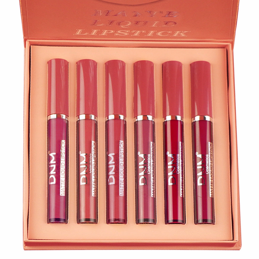 6Pcs Matte Liquid Lipstick Set Lip Stain Makeup,evpct 24 Hour Long Lasting Waterproof Dark Red Matte Matt Lipsticks Lip Gloss Sets for Women Matt Liquid Lippies labiales matte larga duracion 24 Set10