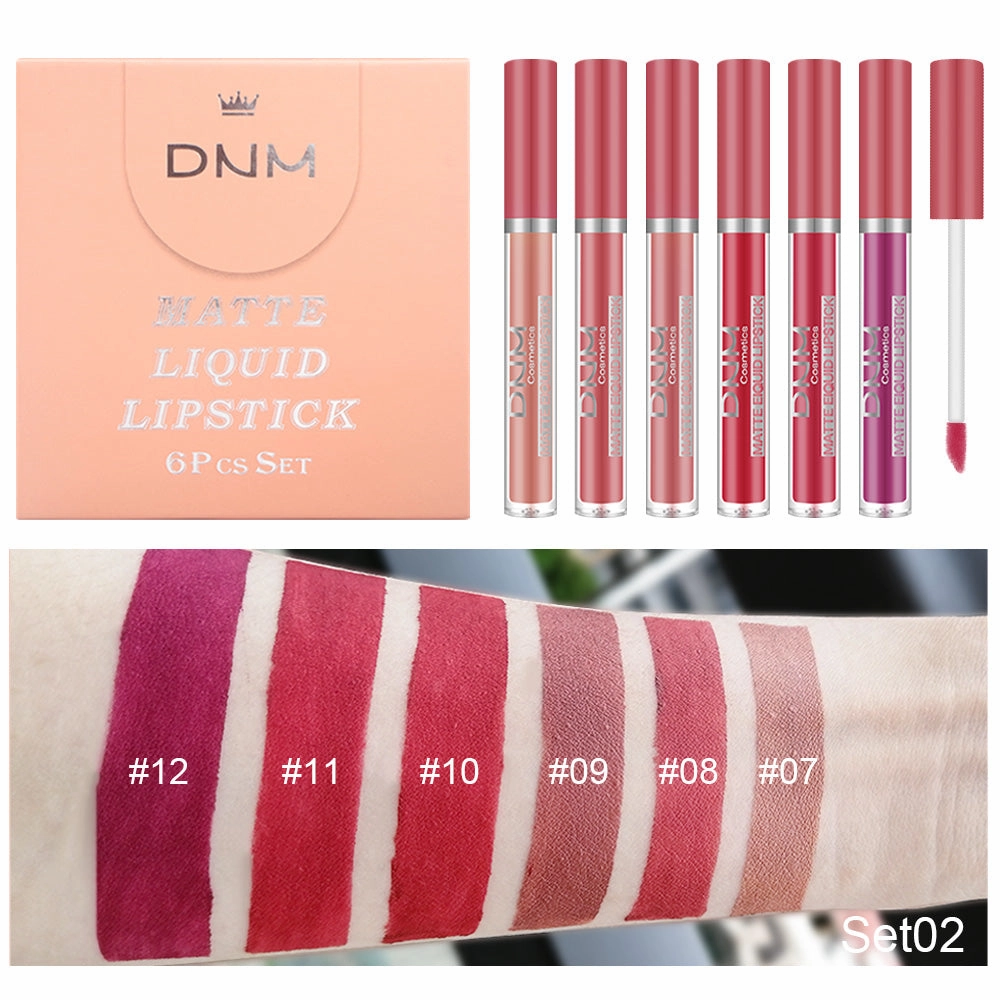 6Pcs Matte Liquid Lipstick Set Lip Stain Makeup,evpct 24 Hour Long Lasting Waterproof Dark Red Matte Matt Lipsticks Lip Gloss Sets for Women Matt Liquid Lippies labiales matte larga duracion 24 Set12
