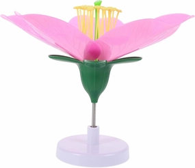 BESTonZON Models for Biology Teaching Artificial Peach Blossom Anatomy Teaching Tool Interactive Educational Aid for Classroom Learning Portable Design for Students