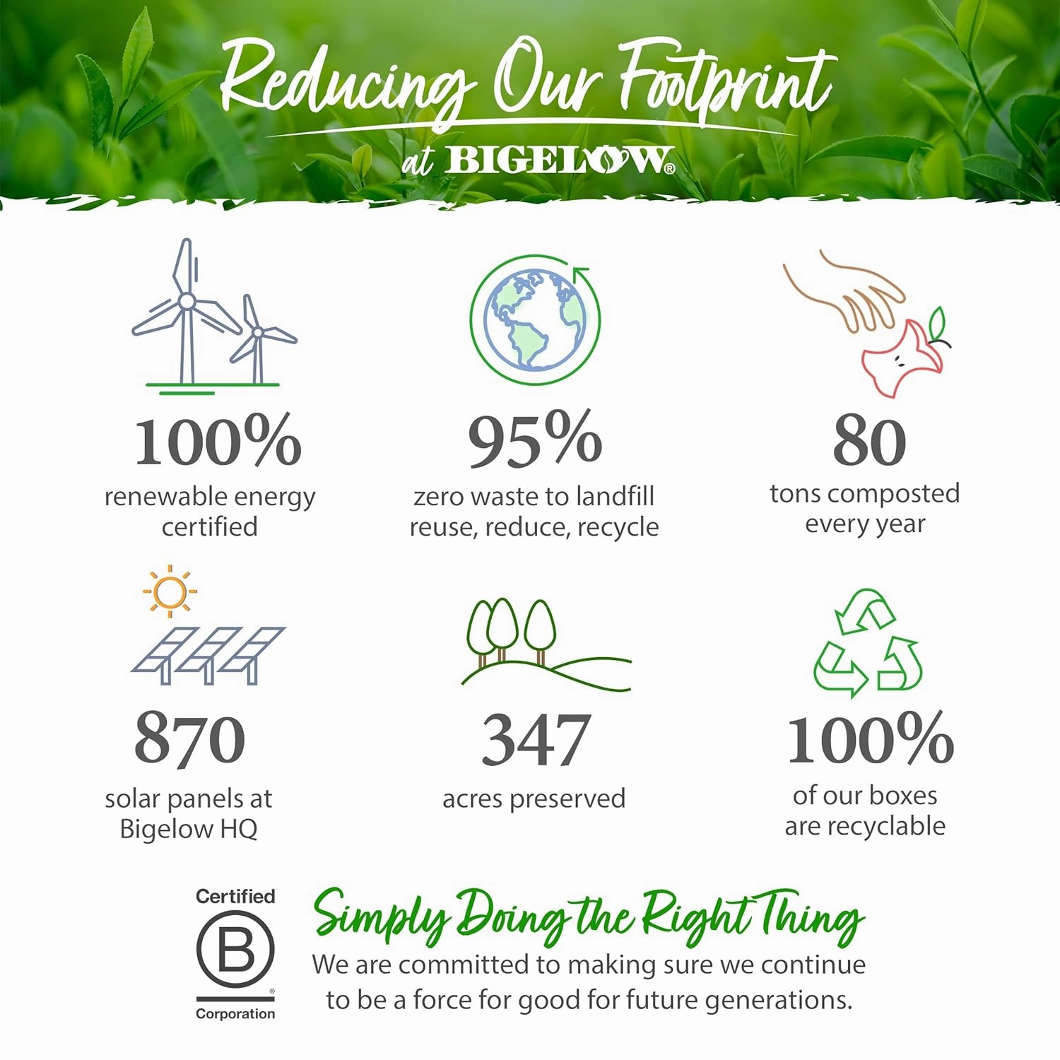 Bigelow Tea Green Tea Assortment, Individually Wrapped Tea Bags with Classic, Decaffeinated, Mint, Peach, Constant Comment, Lemon, Mango, and Earl Grey Teas, 64 Tea Bags (Pack of 1)