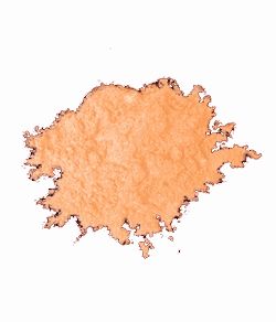 Blush Makeup Cosmetics High Definition Shimmer Pigment