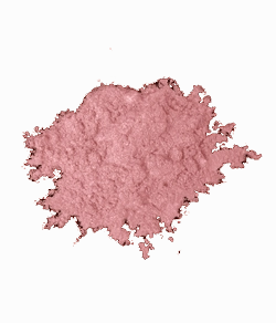 Blush Makeup Cosmetics High Definition Shimmer Pigment
