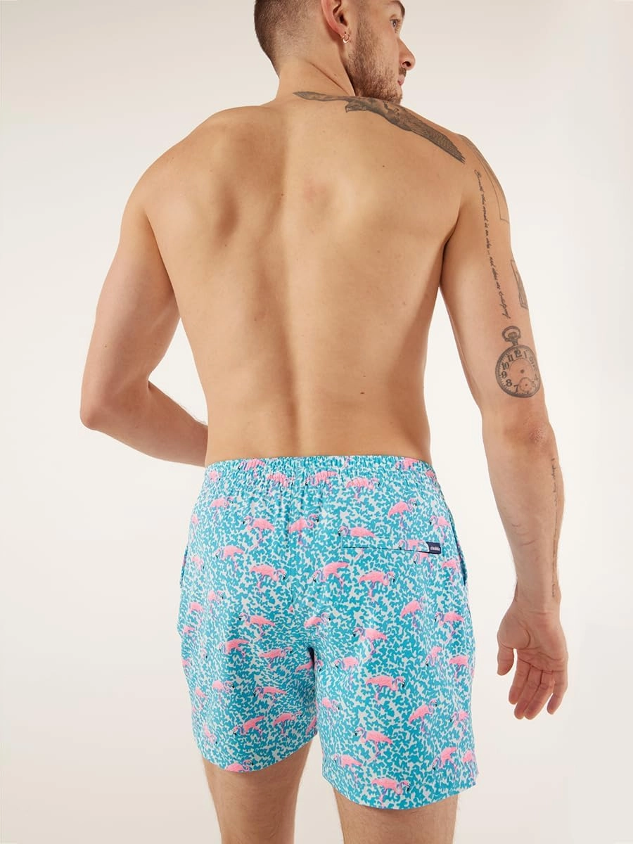 Chubbies Lined Mens Swim Trunks 5.5 Inch – Swim Shorts and Mens Shorts with Elastic Waist, Boxer Brief Liner, UPF 50 