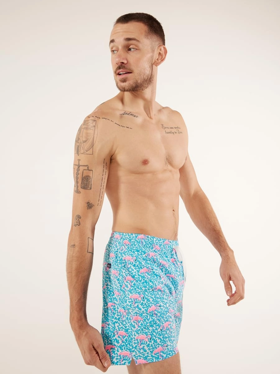 Chubbies Lined Mens Swim Trunks 5.5 Inch – Swim Shorts and Mens Shorts with Elastic Waist, Boxer Brief Liner, UPF 50 