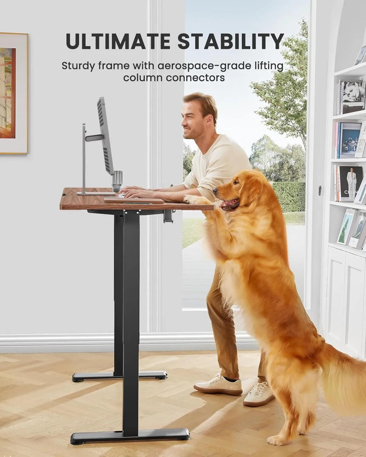 ErGear Height Adjustable Electric Standing Desk, 48 x 24 Inches Sit Stand up Desk, Memory Computer Home Office Desk with Two-Piece Desktop (Walnut)