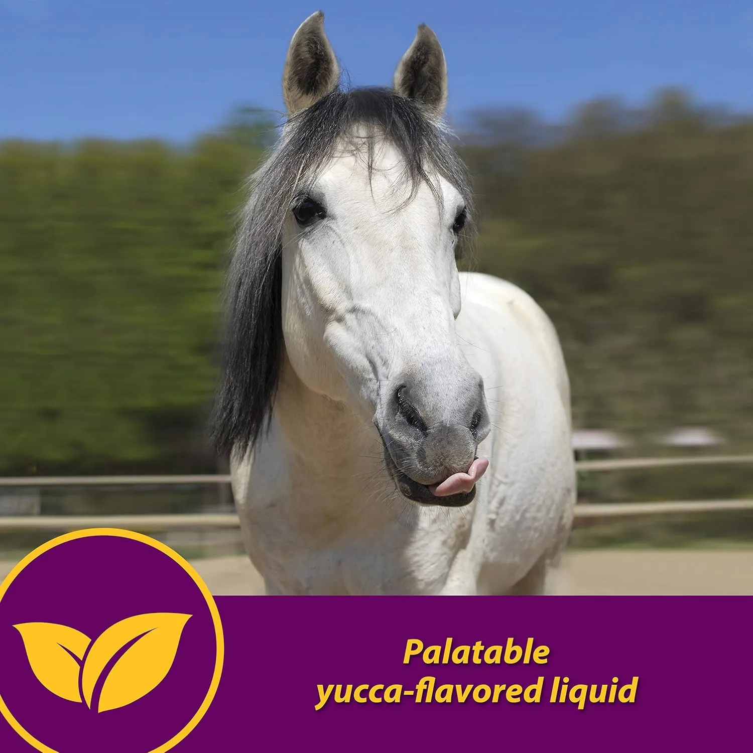 Farnam Horse Health Red Cell, Liquid Vitamin-Iron-Mineral Supplement for Horses, Helps Fill Important Nutritional Gaps in Horse's Diet, 1 Gallon, 128 Oz., 64-Day Supply