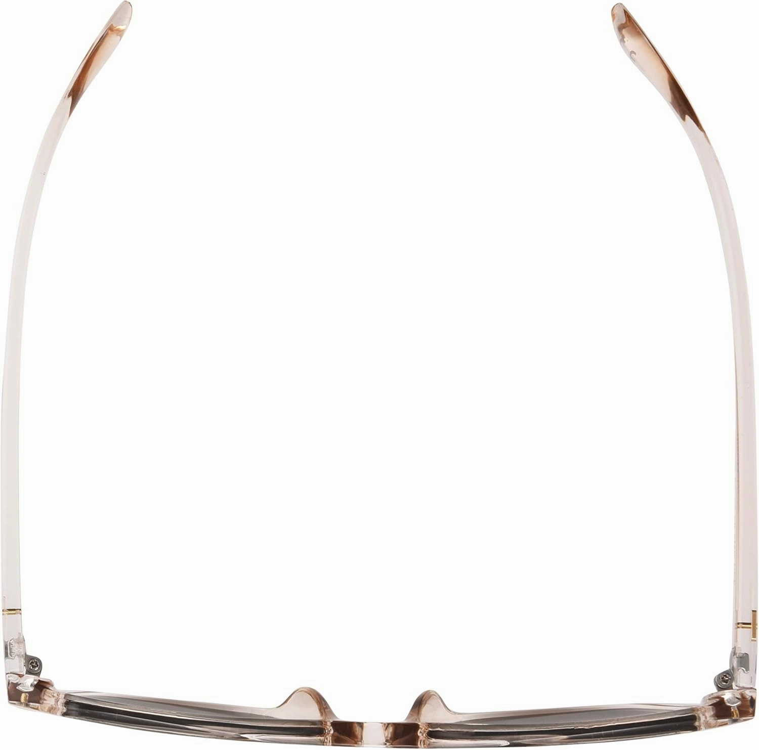 French Connection Women's Pippa Cat Eye Sunglasses
