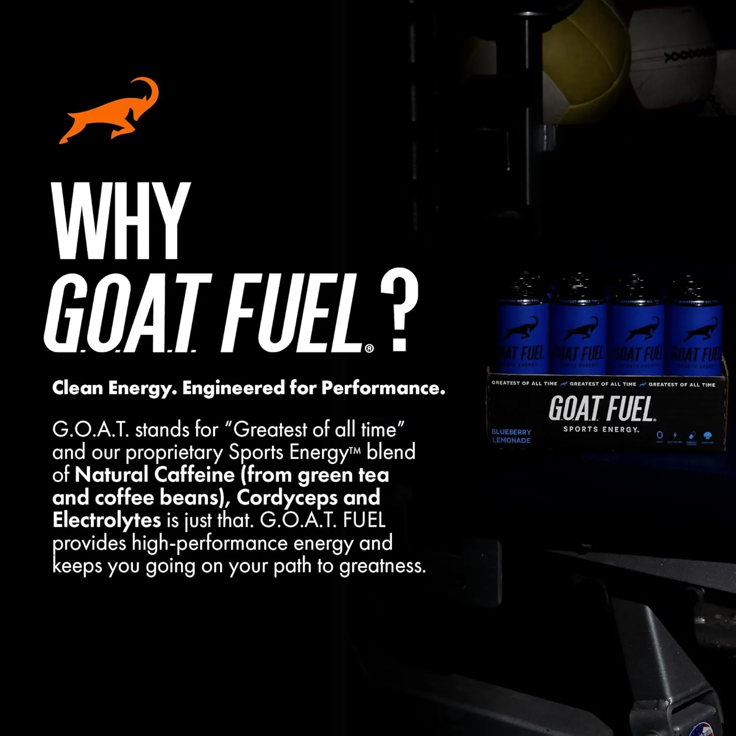 G.O.A.T. Fuel Energy Drink, Natural Caffeine, Electrolytes, BCAAs, Cordyceps Mushrooms & Antioxidants, Lightly Carbonated Pre Workout & Sports Energy Drink, 12-Pack, 12 fl oz Cans, Blueberry Lemonade