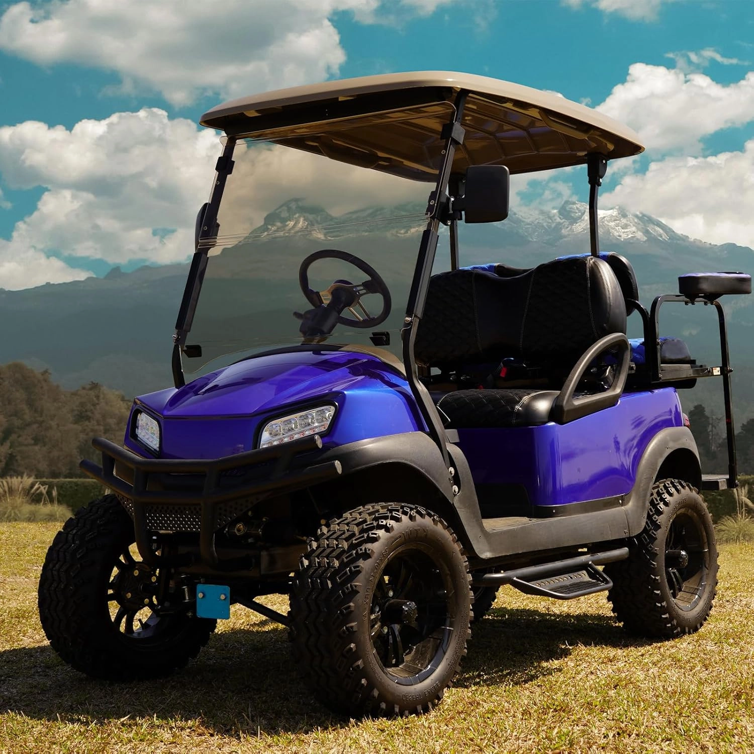 Golf Cart Windshield for Club Car DS Precedent, Clear/Tinted Fold Down Windshield Anti-UV Impact Resistant