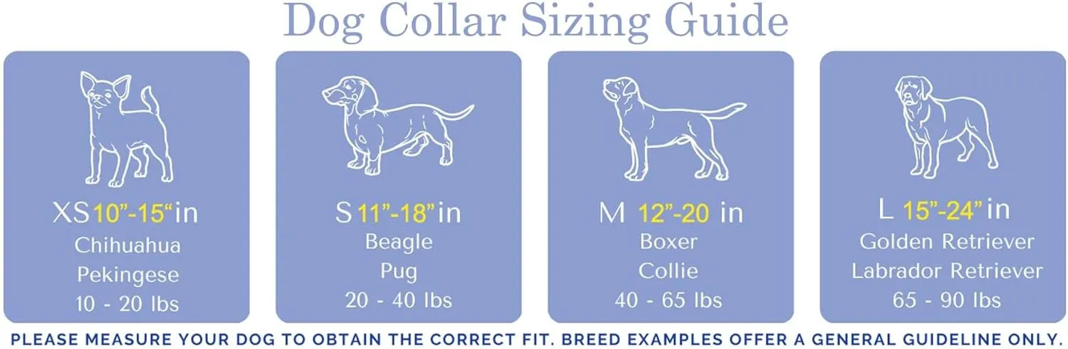 Guy Harvey Dog Collars (Seafoam Bull Dolphin, Medium 1¼ 12”-20”)