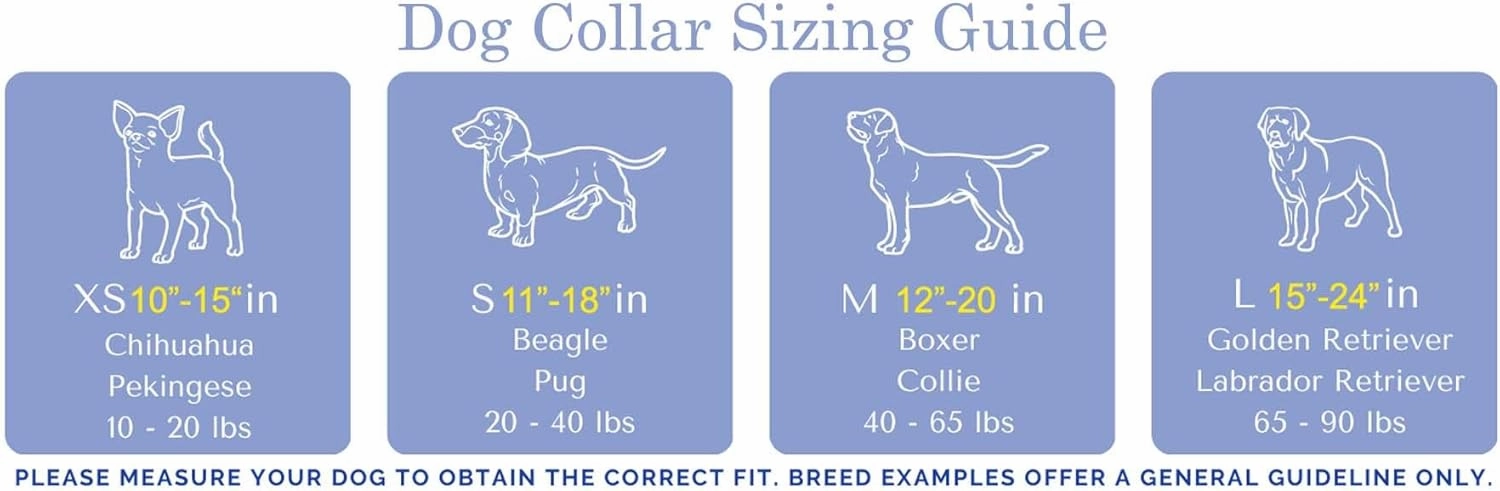 Guy Harvey Dog Collars (Seafoam Offshore, Large 1¼ 15”-24”)
