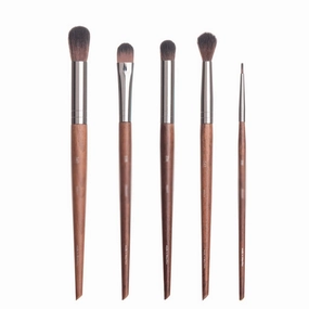 HBJWOV 5 Pieces of Eye Shadow Brush Set Nose Shadow Brush Highlight Brush Beauty Tools Eyeliner Brush Makeup Brush