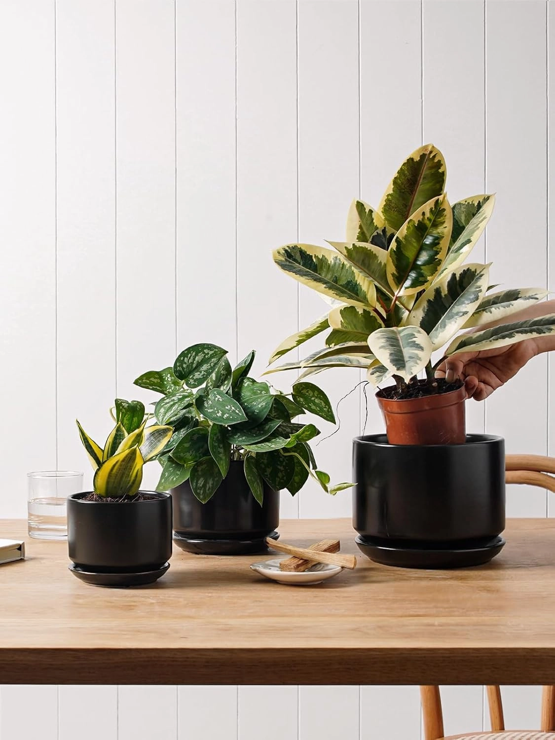 LE TAUCI Ceramic Plant Pots, 4.3 5.3 6.8 inch, Set of 3, Planters with Drainage Hole and Saucer, Indoor Flower Pot with Hole Mesh Pad, Gifts for Mom, Black