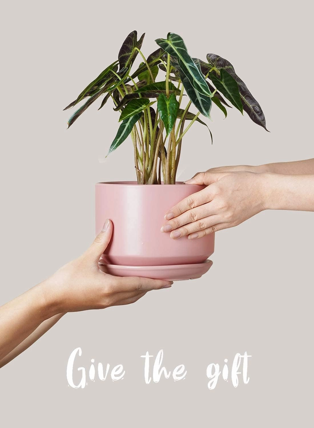LE TAUCI Ceramic Plant Pots, 4.3 5.3 6.8 inch, Set of 3, Planters with Drainage Hole and Saucer, Indoor Flower Pot with Hole Mesh Pad, Gifts for Mom, Pink