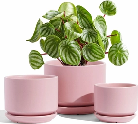 LE TAUCI Ceramic Plant Pots, 4.3 5.3 6.8 inch, Set of 3, Planters with Drainage Hole and Saucer, Indoor Flower Pot with Hole Mesh Pad, Gifts for Mom, Pink