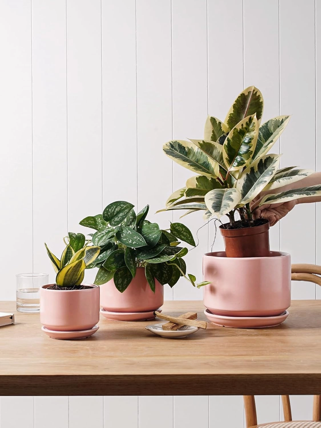 LE TAUCI Ceramic Plant Pots, 4.3 5.3 6.8 inch, Set of 3, Planters with Drainage Hole and Saucer, Indoor Flower Pot with Hole Mesh Pad, Gifts for Mom, Pink
