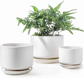 LE TAUCI Ceramic Plant Pots, 4.3 5.3 6.8 inch, Set of 3, Planters with Drainage Hole and Saucer, Indoor Flower Pot with Hole Mesh Pad, Gifts for Mom, White
