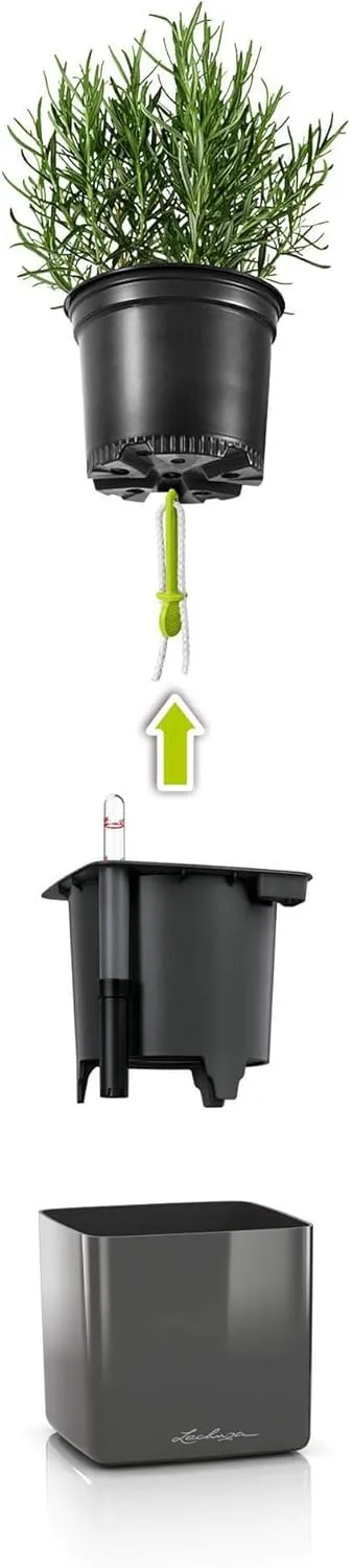 Lechuza 13512 Cube Glossy 14 Self-Watering Planter for Indoor and Outdoor Use, 6" x 6" x 5", Scarlet Red