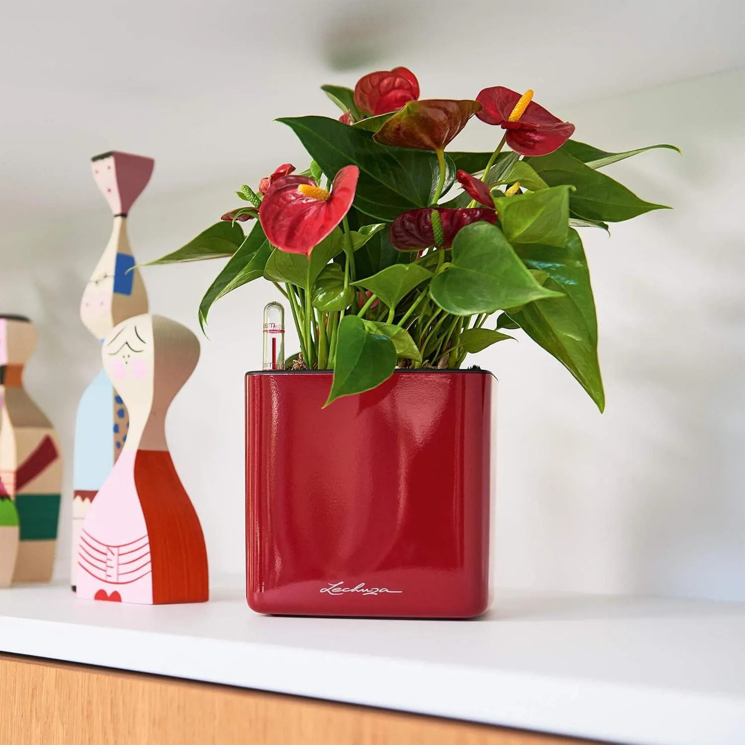 Lechuza 13512 Cube Glossy 14 Self-Watering Planter for Indoor and Outdoor Use, 6" x 6" x 5", Scarlet Red