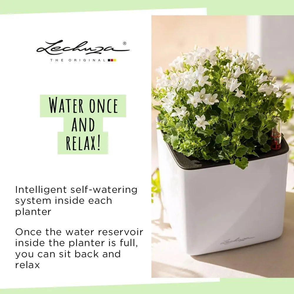 Lechuza 13522 Cube Glossy 16 Self-Watering Planter for Indoor and Outdoor Use, 7" x 7" x 6", Scarlet Red