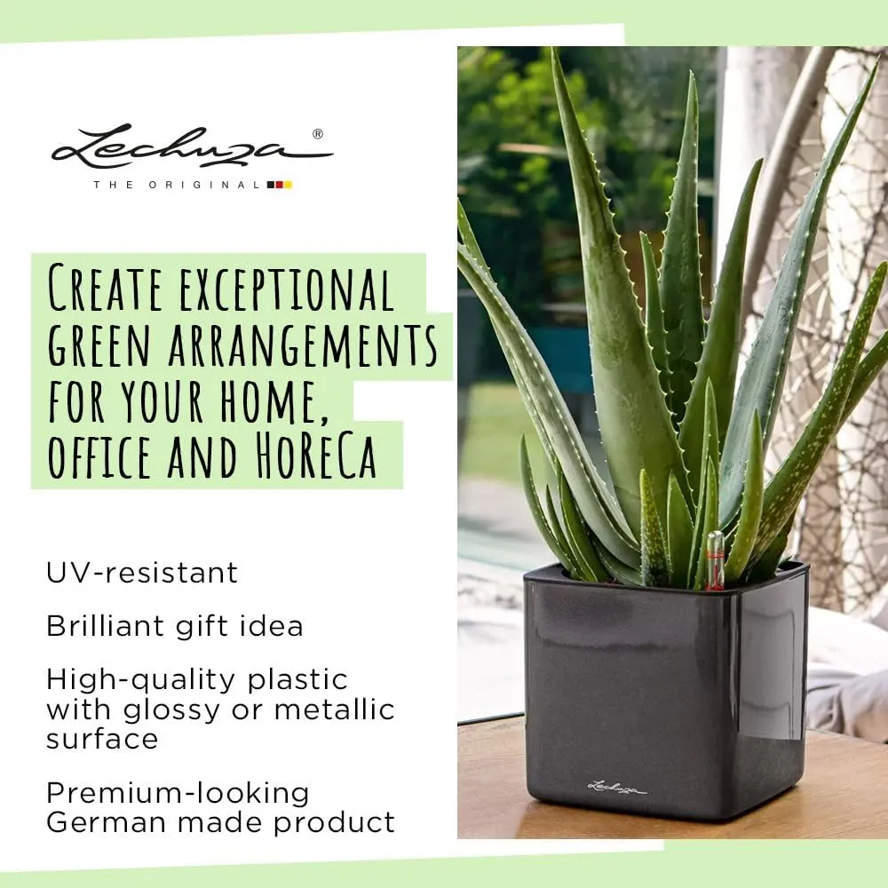 Lechuza 13522 Cube Glossy 16 Self-Watering Planter for Indoor and Outdoor Use, 7" x 7" x 6", Scarlet Red