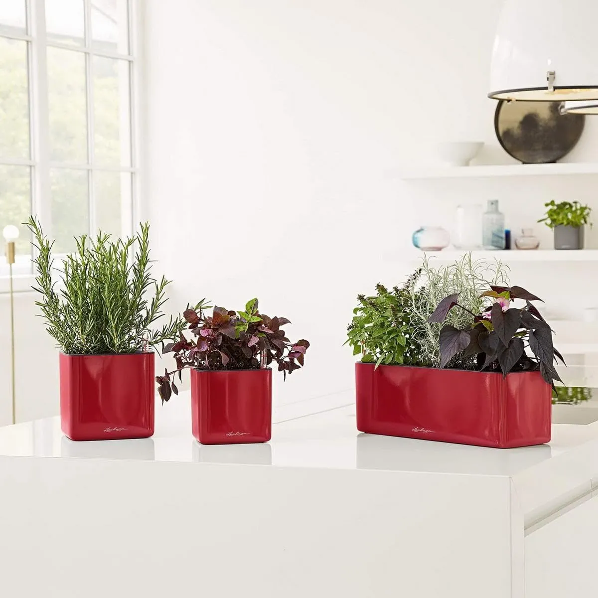 Lechuza 13522 Cube Glossy 16 Self-Watering Planter for Indoor and Outdoor Use, 7" x 7" x 6", Scarlet Red