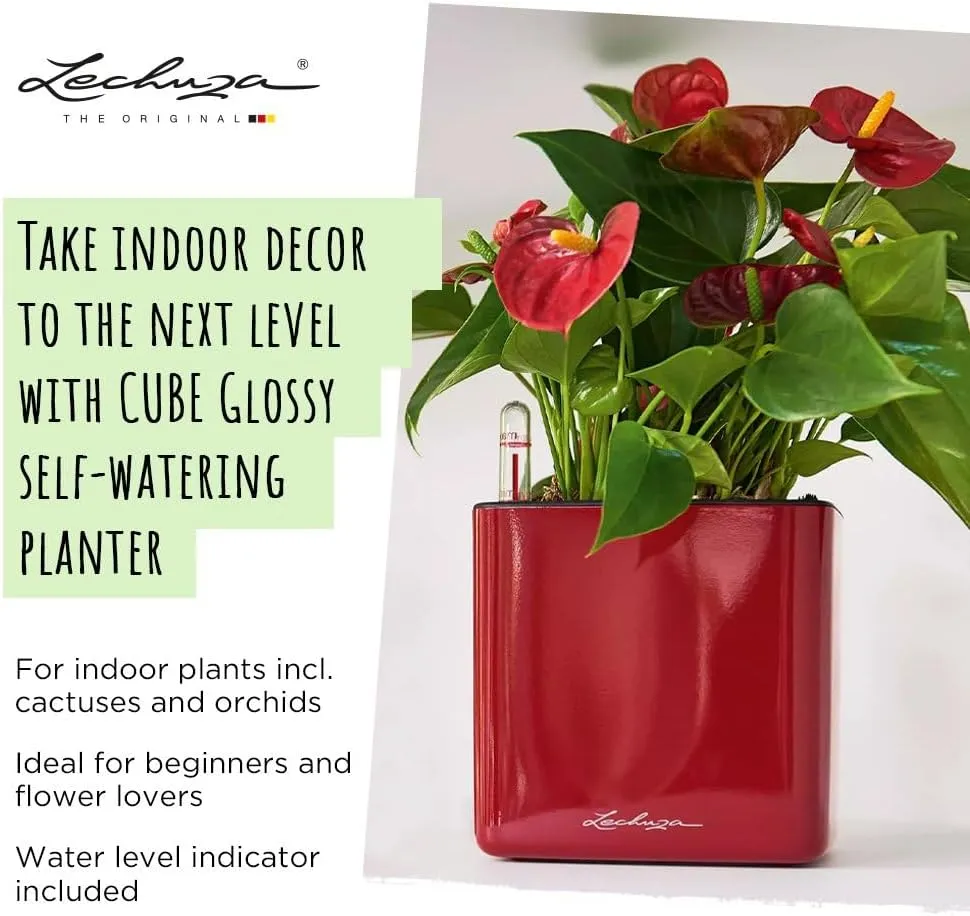 Lechuza 13522 Cube Glossy 16 Self-Watering Planter for Indoor and Outdoor Use, 7" x 7" x 6", Scarlet Red