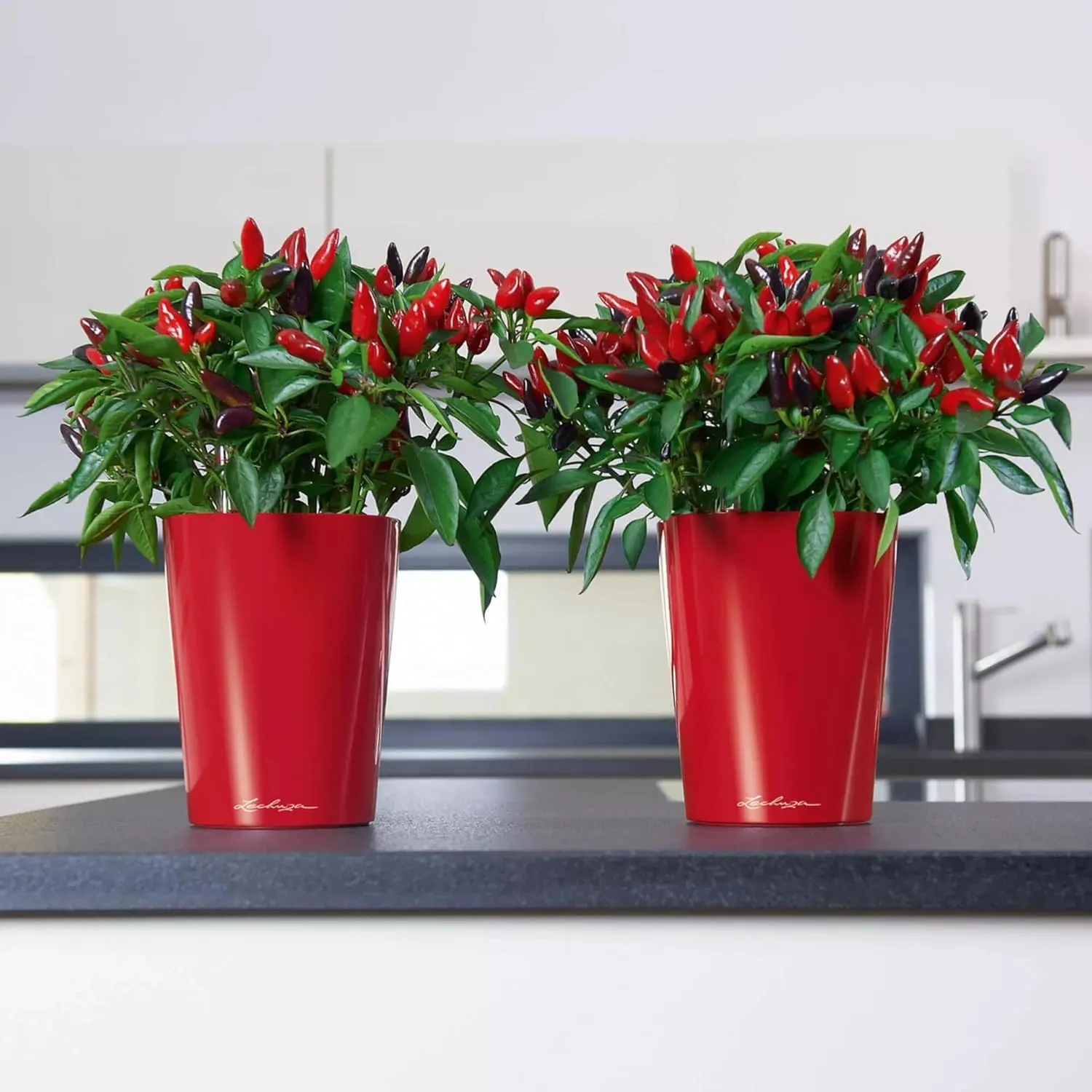 Lechuza 14960 Mini Deltini Self-Watering Garden Planter, Scarlet Red High Gloss