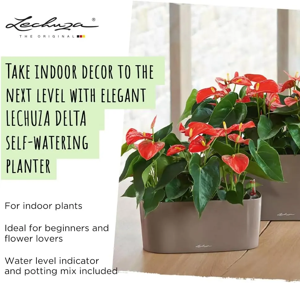 Lechuza 15469 Delta 10 Self-Watering Garden Planter, Scarlet Red High Gloss, 30x11x13 cm