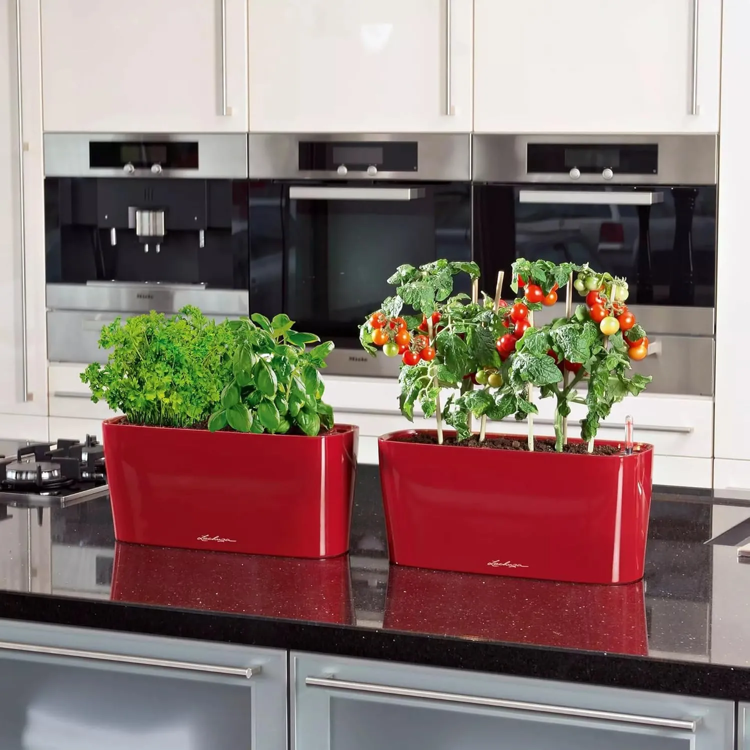 Lechuza 15469 Delta 10 Self-Watering Garden Planter, Scarlet Red High Gloss, 30x11x13 cm