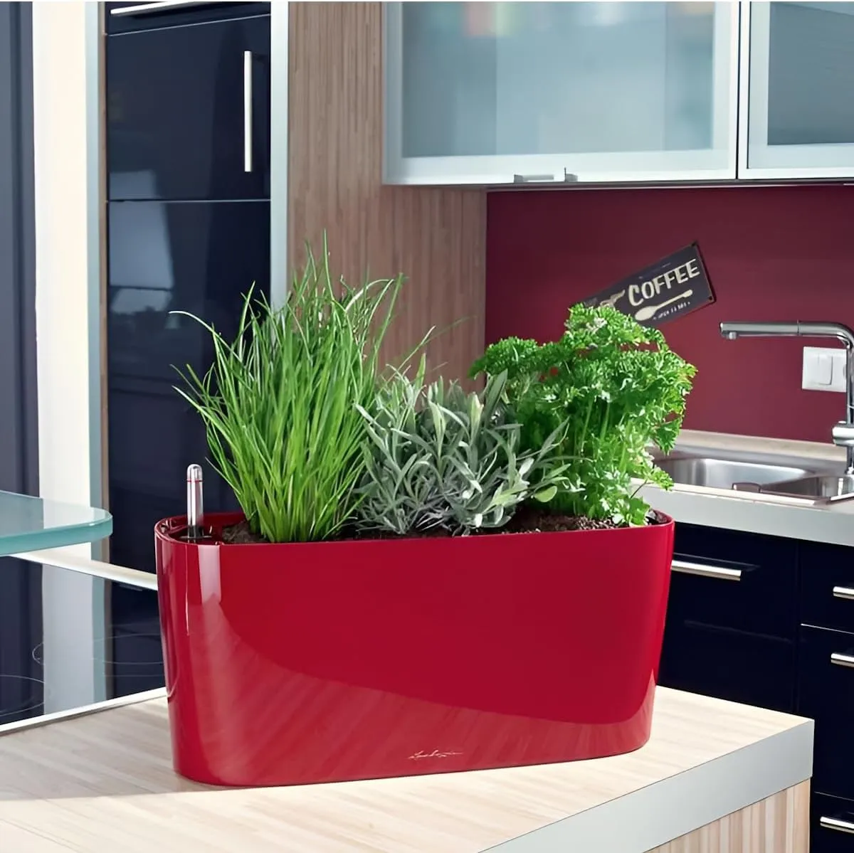 Lechuza 15469 Delta 10 Self-Watering Garden Planter, Scarlet Red High Gloss, 30x11x13 cm