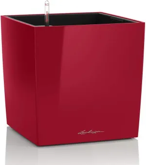 Lechuza 16467 Cube Premium 30, Scarlet Red Glossy, 30x30x30 cm