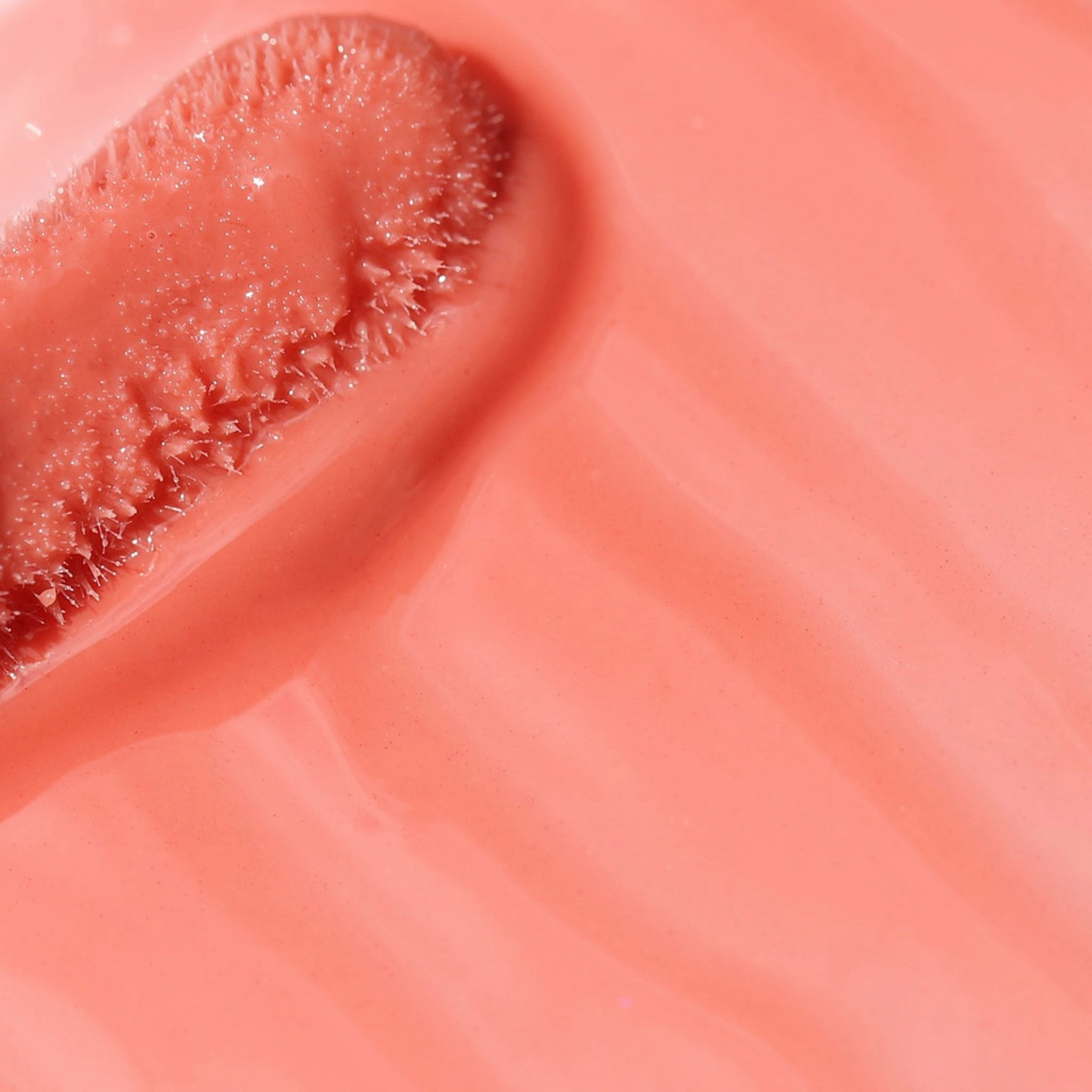Lip Liner   Lip Gloss Duo
