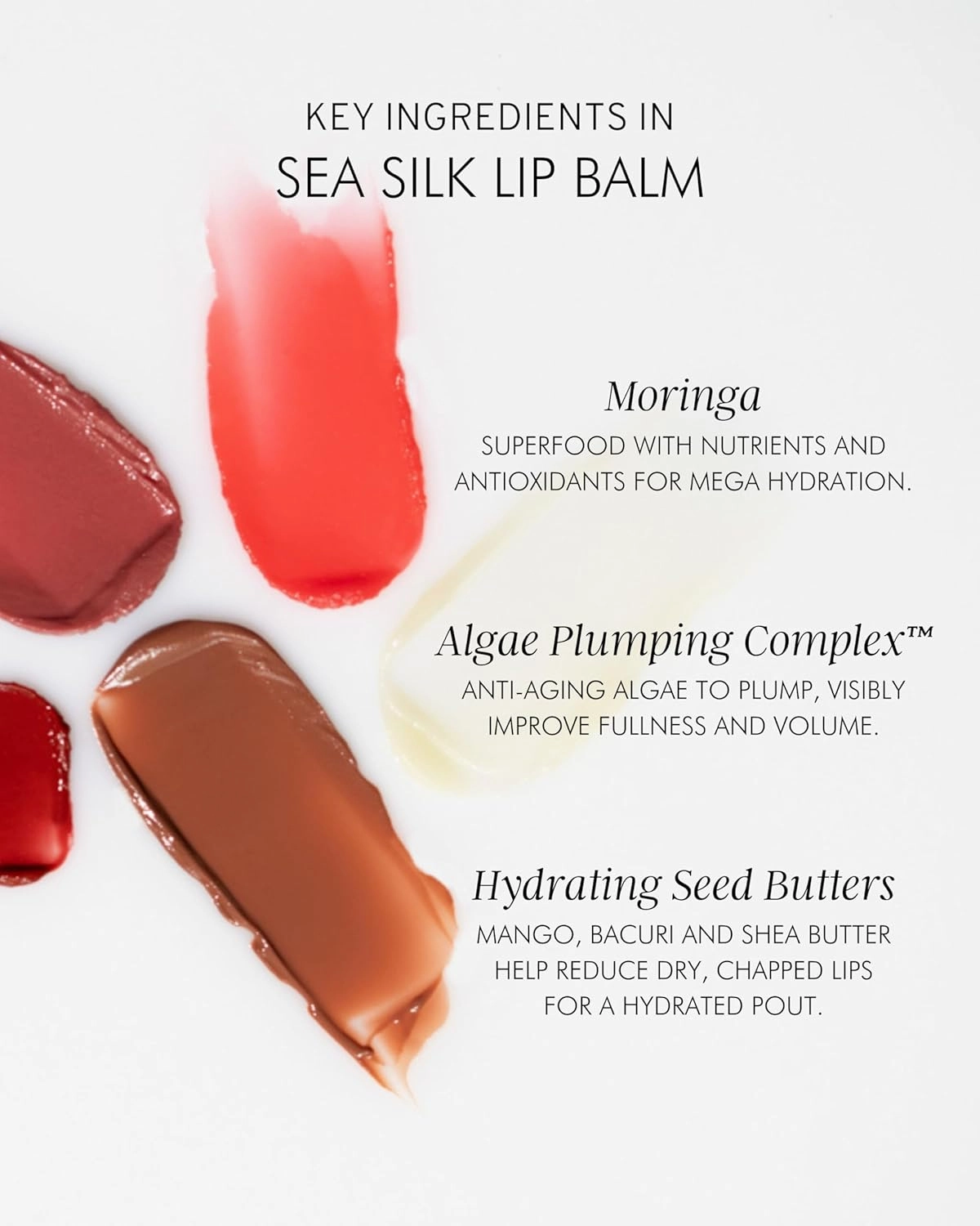 MARA - Natural Sea Silk Lip Balm With Algae   Moringa | Plant-Based Skin Care, Hypoallergenic | Moisturize, Plump   Soothe Dry, Chapped Lips (Sea Latte, 0.5 oz | 15 ml)