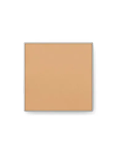 Mary Kay Endless Performance Creme to Powder Foundation Beige 1