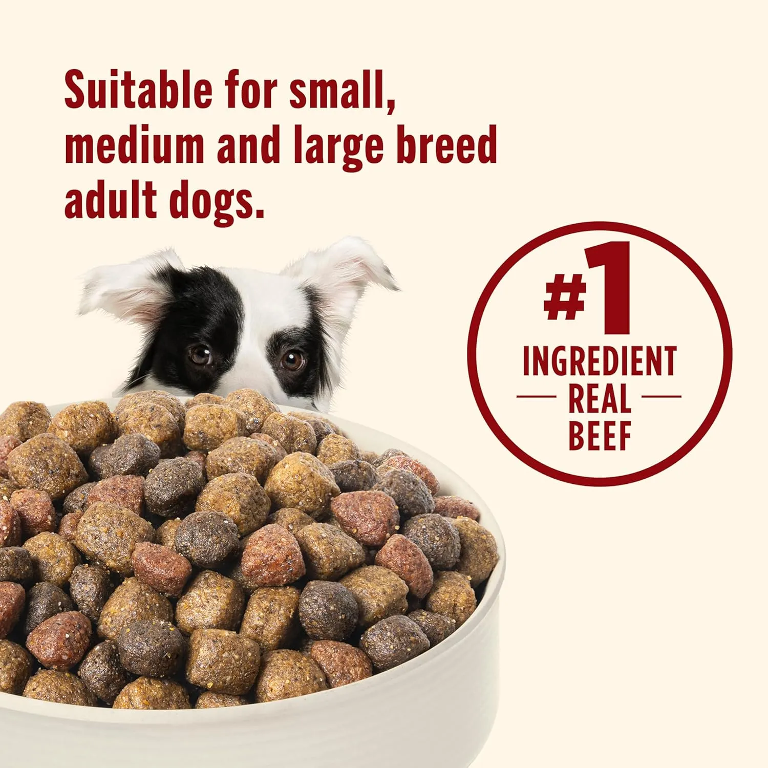 Nutrish Dry Dog Food, Real Beef, Pea & Brown Rice Recipe Whole Health Blend for Adult Dogs, 40 lb. Bag, Packaging May Vary (Formerly Rachael Ray)
