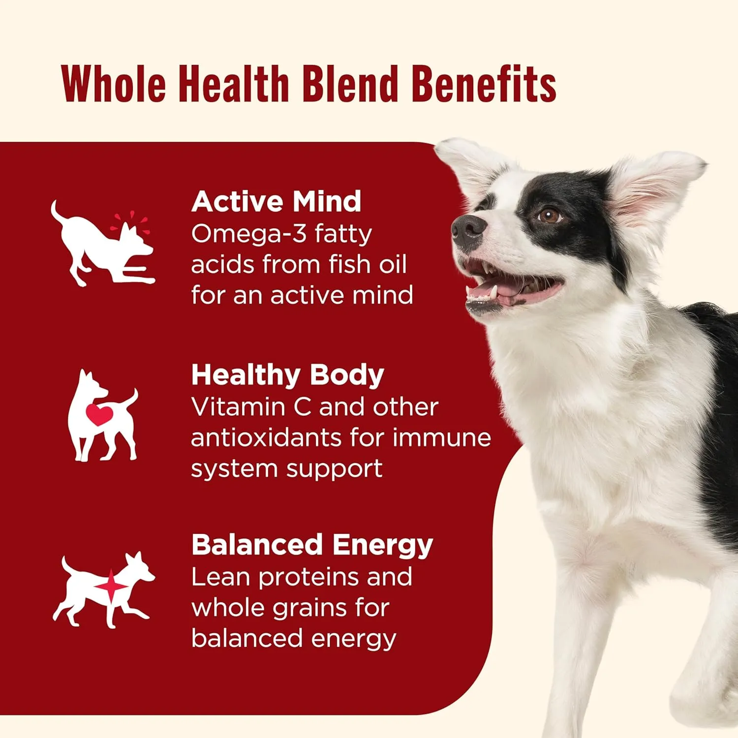 Nutrish Dry Dog Food, Real Beef, Pea & Brown Rice Recipe Whole Health Blend for Adult Dogs, 40 lb. Bag, Packaging May Vary (Formerly Rachael Ray)