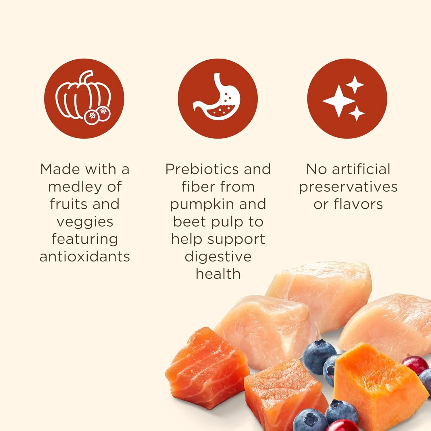 Nutrish Everyday Immune Support Chicken, Salmon, Blueberry & Pumpkin Recipe Dry Dog Food, 13 lb. Bag (Rachael Ray)