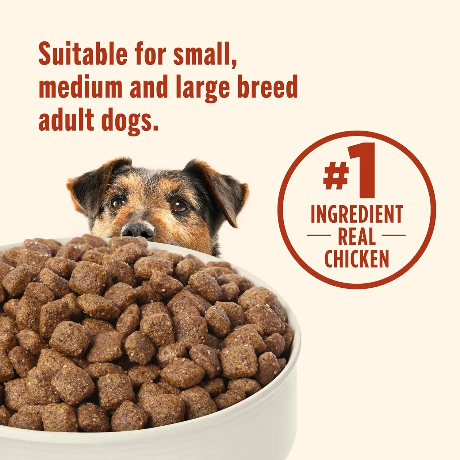 Nutrish Everyday Immune Support Chicken, Salmon, Blueberry & Pumpkin Recipe Dry Dog Food, 13 lb. Bag (Rachael Ray)