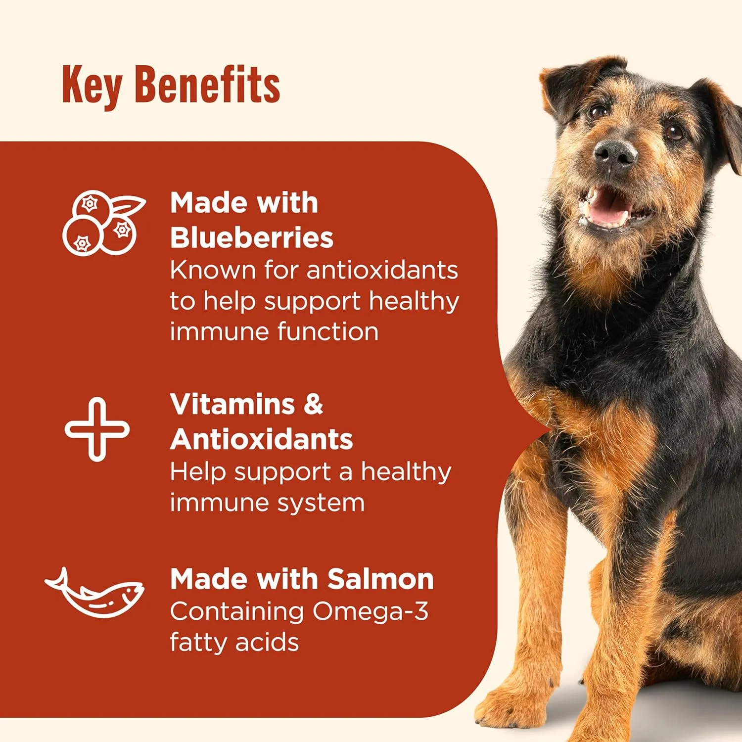 Nutrish Everyday Immune Support Chicken, Salmon, Blueberry & Pumpkin Recipe Dry Dog Food, 13 lb. Bag (Rachael Ray)