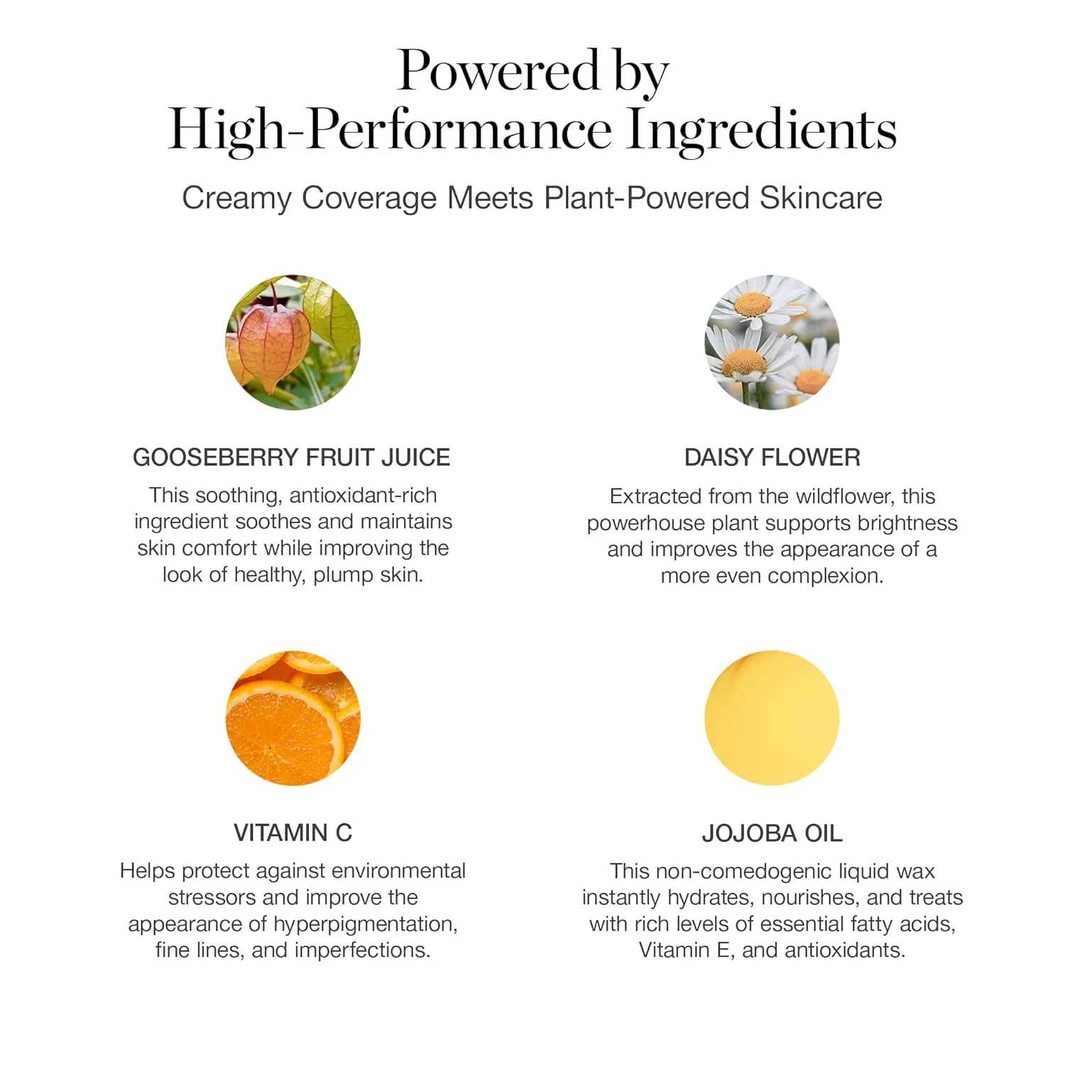 Ogee Complexion Perfecting Liquid Foundation - Lightweight Tinted Moisturizer For Face (Gingko 5.00N - Medium Tan, Neutral Undertones) - with Vitamin C & Jojoba Oil - Certified Organic & Made in USA