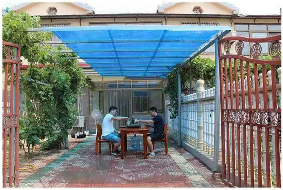 Polycarbonate Plastic Sheet - Transparent Sunlight Panel - 1mm Thick - Light-gathering Tiles - Double-sided Lamination Impact Resistant - Transparent Glass Replacement Panel ( Color : Clear-Blue , Siz