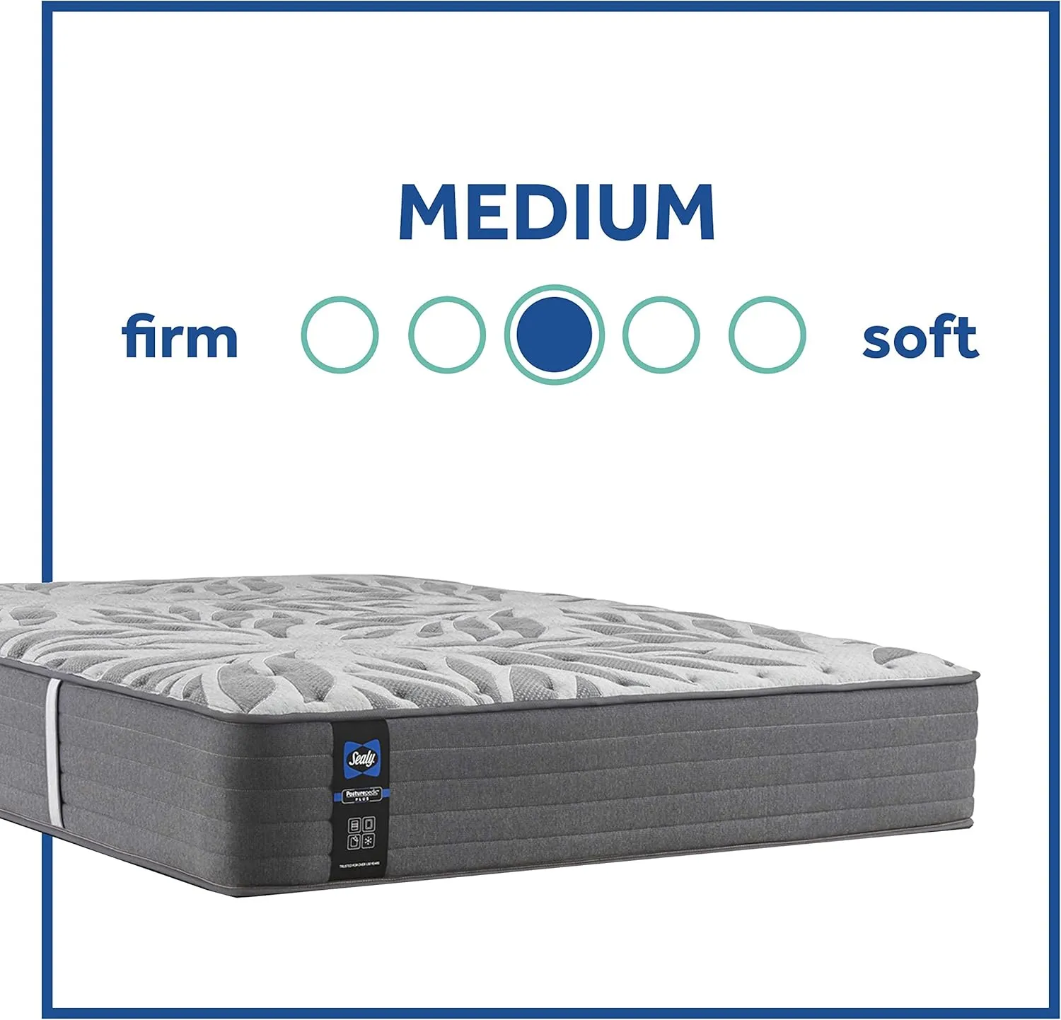 Sealy Posturepedic Plus, Tight Top 13 Medium Mattress with Surface-Guard and 5-Inch Foundation, Queen, Grey